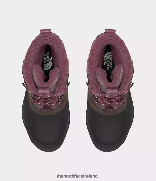 Footwear The North Face Women Chilkat V 400 Waterproof Boots Deep Taupe/TNF Black 4VP2RZ947