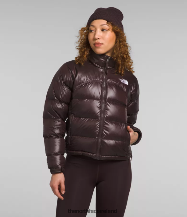 Clothing The North Face Women 2000 Retro Nuptse Jacket Coal Brown 4VP2RZ804