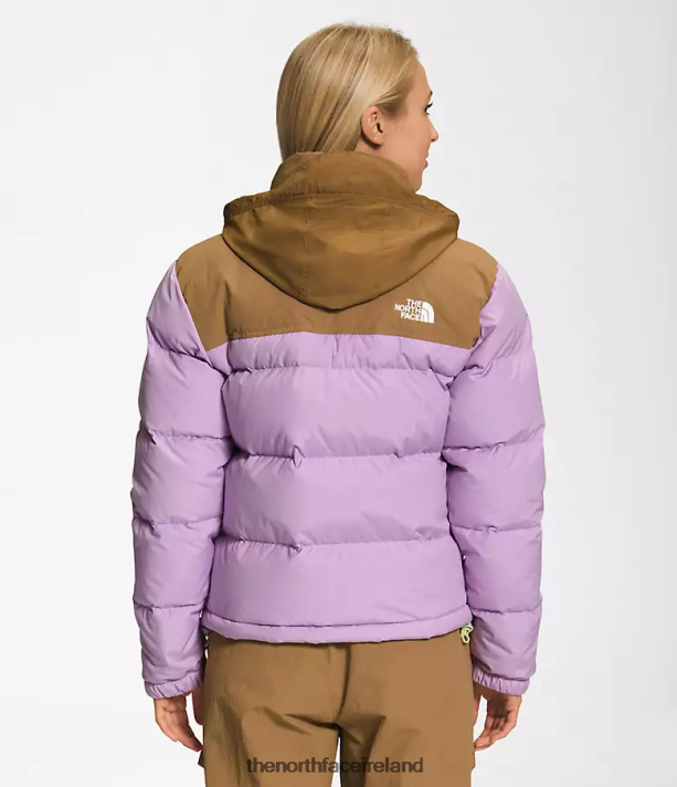 Clothing The North Face Women 92 Low-Fi Hi-Tek Nuptse Jacket Lupine/Utility Brown 4VP2RZ1015