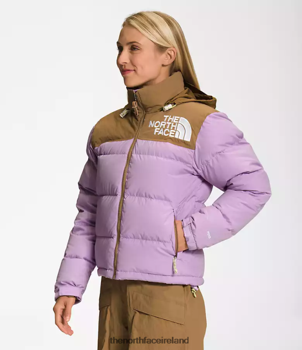 Clothing The North Face Women 92 Low-Fi Hi-Tek Nuptse Jacket Lupine/Utility Brown 4VP2RZ1015