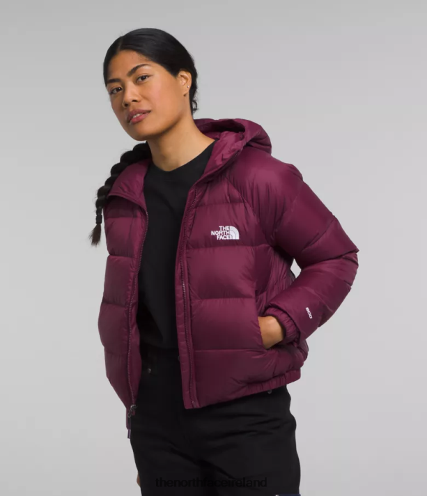 Clothing The North Face Women Hydrenalite Down Hoodie Boysenberry 4VP2RZ893