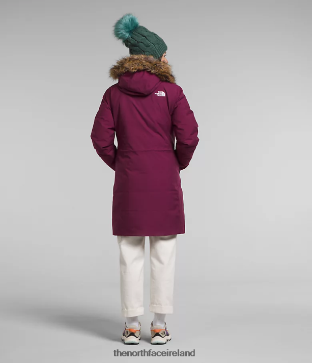 Clothing The North Face Women Arctic Parka Boysenberry 4VP2RZ509