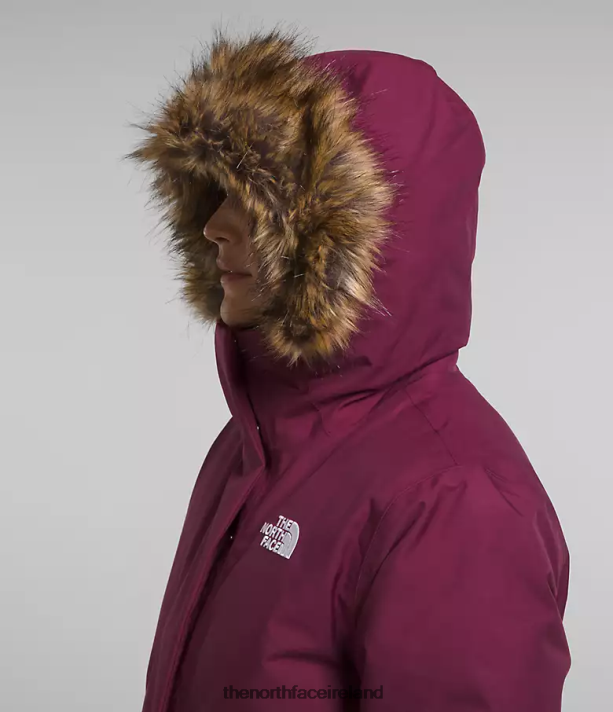 Clothing The North Face Women Arctic Parka Boysenberry 4VP2RZ509