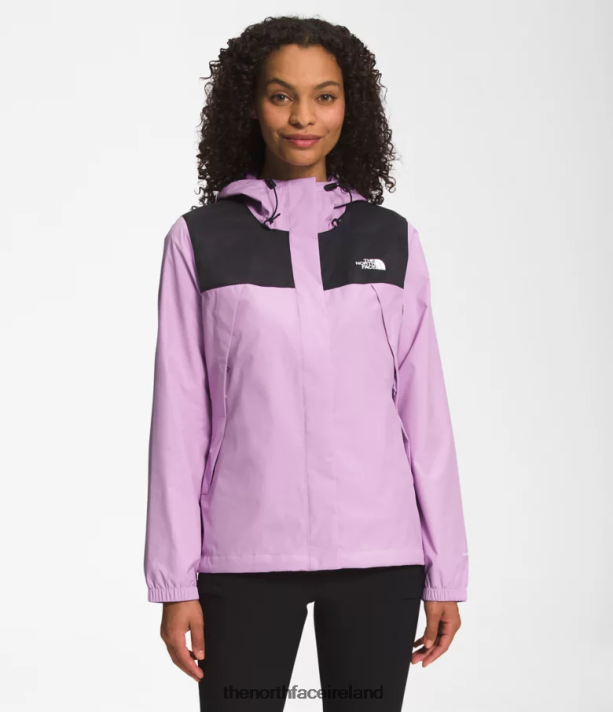 TNF Black/Lupine