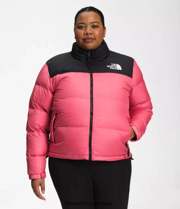 Clothing The North Face Women Plus 1996 Retro Nuptse Jacket Cosmo Pink 4VP2RZ799