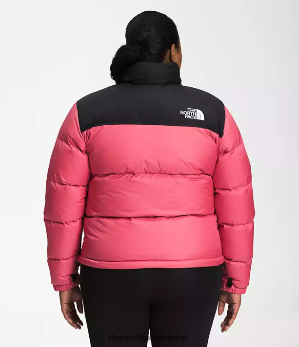 Clothing The North Face Women Plus 1996 Retro Nuptse Jacket Cosmo Pink 4VP2RZ799