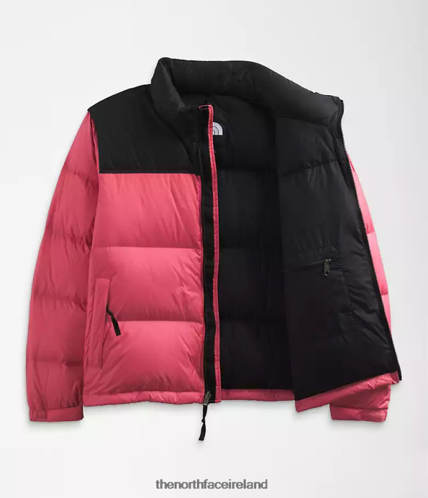 Clothing The North Face Women Plus 1996 Retro Nuptse Jacket Cosmo Pink 4VP2RZ799
