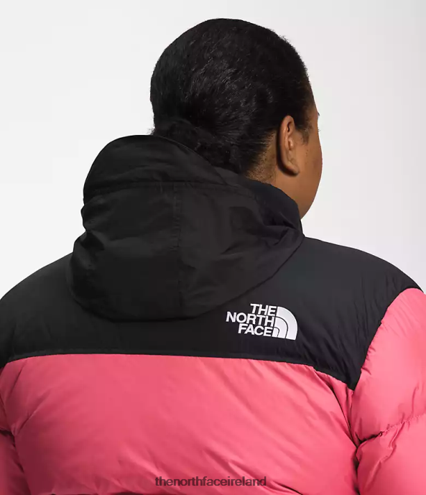 Clothing The North Face Women Plus 1996 Retro Nuptse Jacket Cosmo Pink 4VP2RZ799