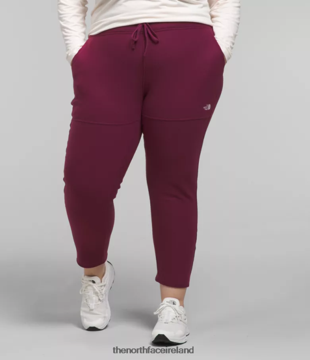 Clothing The North Face Women Plus Alpine Polartec 100 Pants Boysenberry 4VP2RZ251