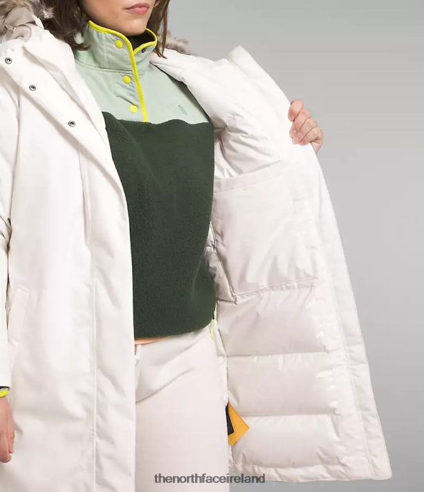 Clothing The North Face Women Plus Arctic Parka Gardenia White 4VP2RZ967