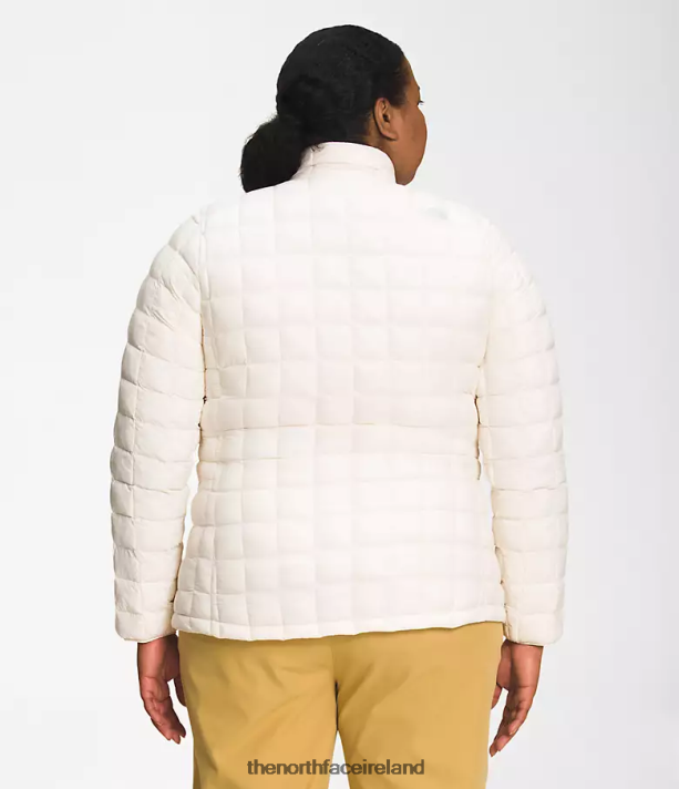 Clothing The North Face Women Plus ThermoBall Eco Jacket 2.0 Gardenia White 4VP2RZ53